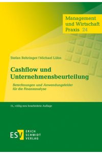 Cashflow und Unternehmensbeurteilung  - Berechnungen und Anwendungsfelder für die Finanzanalyse