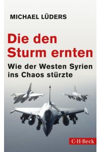 Die den Sturm ernten: Wie der Westen Syrien ins Chaos stürzte (Beck Paperback)