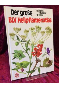 Der grosse BLV-Heilpflanzenatlas.   - Illustrationen von Marilena Pistoia. Übersetzung und deutsche Bearbeitung von Ulrike Thiede.