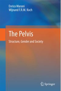 The Pelvis: Structure, Gender and Society