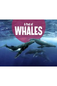Tarbox Raatma, L: Pod of Whales (Animal Groups)