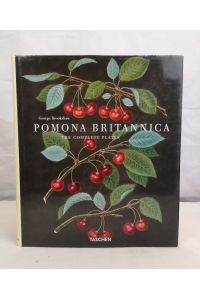 Pomona Britannica. The complete Plates.   - [Engl. transl.: Ann Hentschel. French transl.: Anne Charrière]