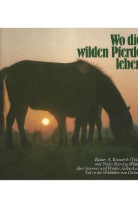 Wo die wilden Pferde leben.   - Rainer A. Krewerth (Texte) u. Dieter Rensing (Bilder) über Sommer und Winter, Geburt und Tod in der Wildbahn von Dülmen / Warendorfer Lieblingsbücher.
