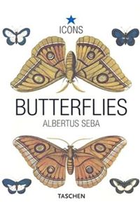 Butterflies & insects = Schmetterlinge & Insekten.