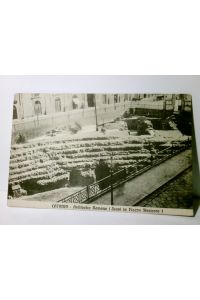 Catania. Sizilien. Italien. Anfiteatro Romano. ( Scavi in Piazza Stesicoro ). Alte Ansichtskarte / Postkarte s/w, gel. 1913. Blick ins Amphietheater.