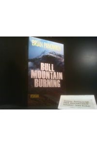 Bull mountain burning : Roman.   - Brian Panowich ; aus dem amerikanischen Englisch von Johann Christoph Maass / Suhrkamp Taschenbuch ; 4878