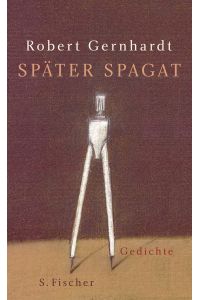Später Spagat  - Gedichte