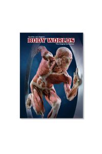 BODY WORLDS - The Original Exhibition (EN)