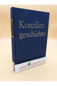Synoden der Karolingerzeit im Frankenreich und in Italien (Konziliengeschichte - Reihe A: Darstellungen)
