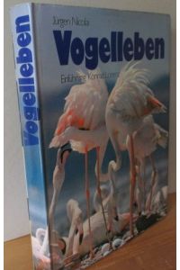 Vogelleben.   - Einführung von Konrad Lorenz (Ornithologie und Ethologie)