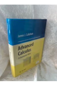 Advanced Calculus: A Geometric View (Undergraduate Texts in Mathematics)  - A Geometric View
