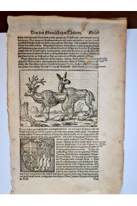 Von den mitnächtigen Ländern. 3 originale Blätter mit 6 Seiten Beschreibungen skandinavischer Länder und Bräuche mit einigen Holzschnitten um 1580.