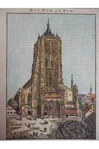 orig. kolorierter Holzstich - Der Dom zu Ulm ( Ulmer Münster )