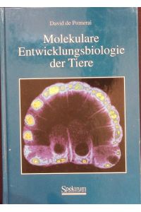 Molekulare Entwicklungsbiologie der Tiere.