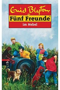 Fünf Freunde im Nebel. Fünf Freunde Bd 17  - Bd. 17. Fünf Freunde im Nebel
