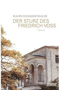 Der Sturz des Friedrich Voss : Roman.