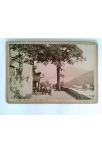 Kabinettfoto, Genova, Valle del Bisagno e Camposanto, mit Waren belandene Esel, Personen, ca. 1880