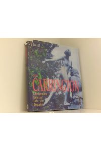 Dora Carrington. Leben zwischen Kunst und Liebe. Eine Biographie  - Leben zwischen Kunst und Liebe ; eine Biographie