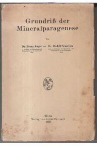 Grundriß der Mineralparagenese.
