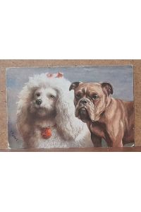Ansichtskarte AK Künstlerkarte v. C. Reichert 2 Hunde (Pudel, Boxer)