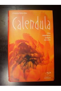 Calendula. Eine Heilpflanze spiegelt das Licht