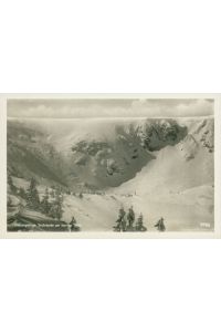 Ansichtskarte Riesengebirge Teichränder am kleinen Teich (Nr. 9301)
