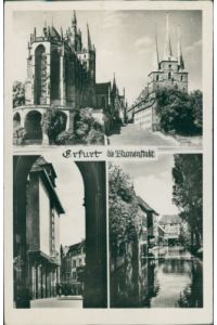 Ansichtskarte Erfurt die Blumenstadt(b141)