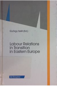 Labour Relations in Transition in Eastern Europe (de Gruyter Studies in Organization).
