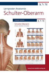 Lernposter Anatomie-Muskulatur  - Region Schulter-Oberarm