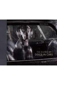 The Silence of Dogs in Cars  - The Silence of Dogs in Cars