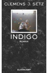 Indigo: Roman (suhrkamp taschenbuch)
