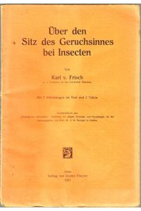 Über den Sitz des Geruchssinnes bei Insecten.   - SD aus Zoologische Jahrbücher, Abt. allg. Zoologie und Physiologie, 38. Bd.