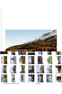 Wohn Raum Alpen/Abitare le alpi/Living in the Alps: Nachhaltiger Wohnbau in den Bergen ? zeitgenössische Wohnformen mit Perspektive
