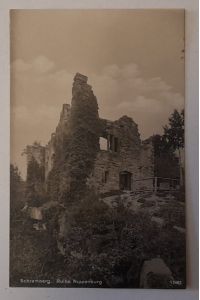 Ansichtskarte AK Schramberg, Ruine Nippenburg