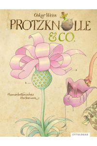 Protzknolle & Co. : Humanbotanisches Herbarium  - Humanbotanisches Herbarium