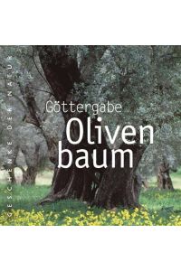 Göttergabe Olivenbaum