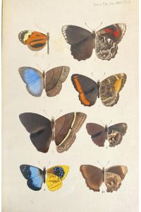Transactions of the Entomological Society of London for the Year 1879 und 1880. 2 Bände.