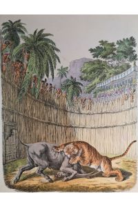 Altkolorierte Lithographie v. 1861. Tiger und Büffel