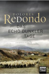 Das Echo dunkler Tage: Kriminalroman (Baztan-Trilogie, Band 1)  - Kriminalroman
