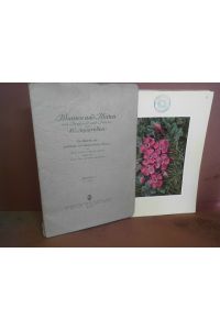 Blumen und Blüten aus Bergland und Heide nach 80 Aquarellen. Mappe I. - Ein Bildwerk von geschützten und schützenswerten Pflanzen.