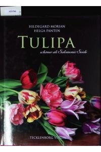 Tulipa.   - Schöner als Salomonis Seide.