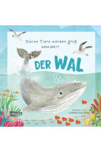 Kleine Tiere werden groß - Der Wal: Eine faktenreiche Bilderbuchgeschichte für Kinder ab 3 Jahren, die von den täglichen Abenteuern eines Wal-Jungen . . . vielen Informationen, Quiz und Mitmachseiten