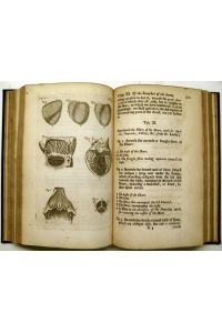 The Anatomy of Humane Bodies epitomized. Wherein All the Parts of Man´s Body, with their Actions and Uses, are succinctly described, according to the newest doctrine of the most accurate and learned Modern Anatomists. Second corrected and inlarged Ed.