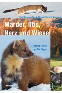 Marder, Iltis, Nerz und Wiesel: Kleine Tiere, große Jäger