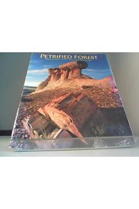 Petrified Forest: The Story Behind the Scenery