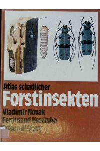 Atlas schädlicher Forstinsekten.