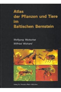 Atlas der Pflanzen und Tiere im baltischen Bernstein