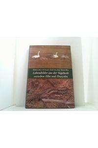 Lebensbilder aus der Vogelwelt zwischen Elbe und Drawehn.