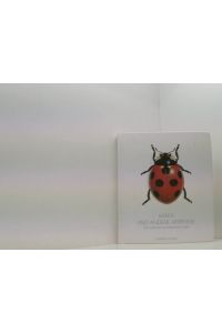 Käfer und andere Kerbtiere  - Zeichn. von Bernard Durin. Mit Texten von Gerhard Scherer