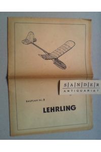 Flugmodell Lehrling